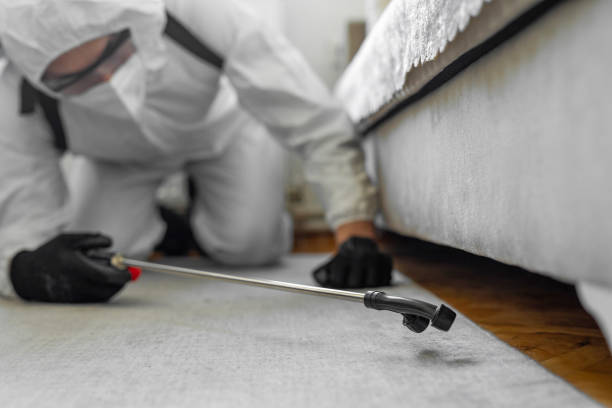 Professional Bed Bug Control technician working in South Milwaukee, WI