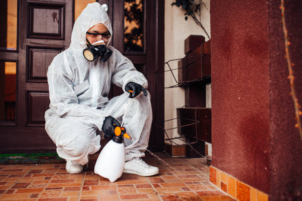 Reliable Bed Bug Control contractor in South Milwaukee, WI by Nex Pest Control