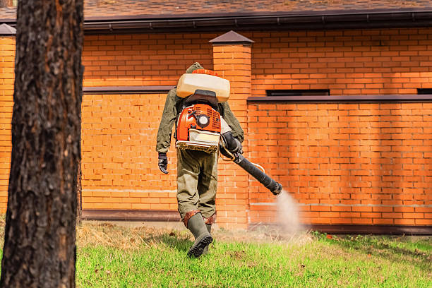 Trusted Bed Bug Control service in South Milwaukee, WI - Nex Pest Control